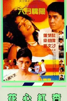 极品稀缺番号